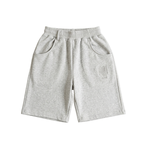 Albanien Shorts Grau